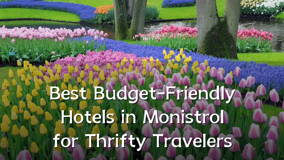 Best Budget-Friendly Hotels in Monistrol for Thrifty Travelers
