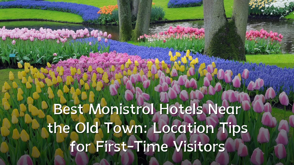 Best Monistrol Hotels Near the Old Town: Location Tips for First-Time Visitors
