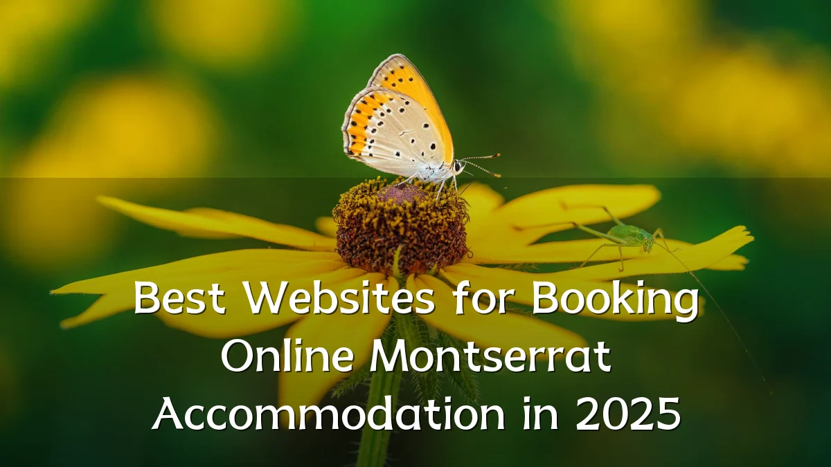 Best Websites for Booking Online Montserrat Accommodation in 2025