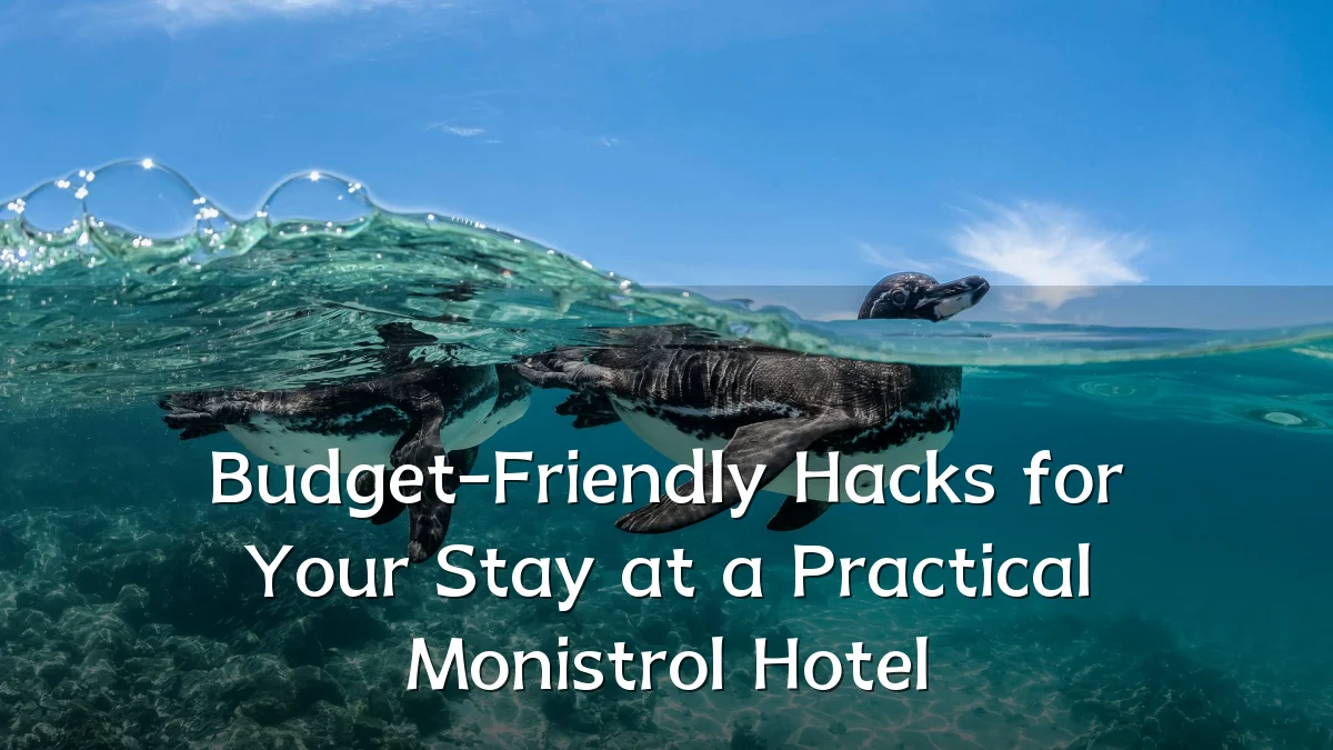 Budget-Friendly Hacks for Your Stay at a Practical Monistrol Hotel