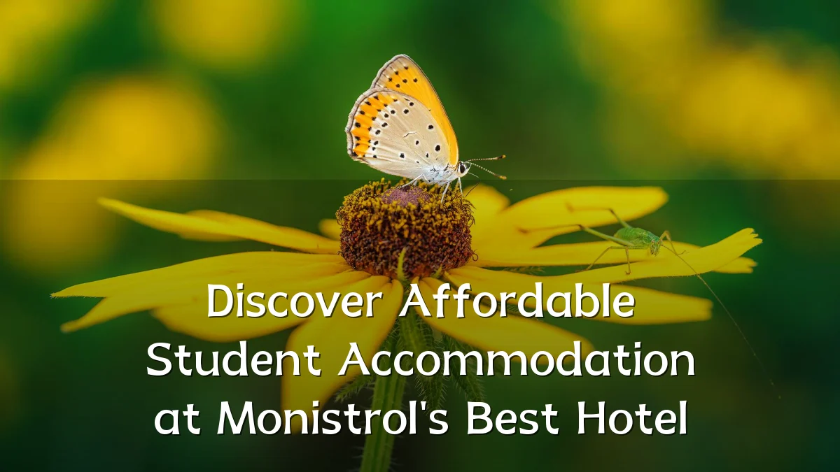 Discover Affordable Student Accommodation at Monistrol's Best Hotel