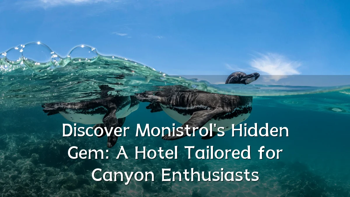Discover Monistrol's Hidden Gem: A Hotel Tailored for Canyon Enthusiasts