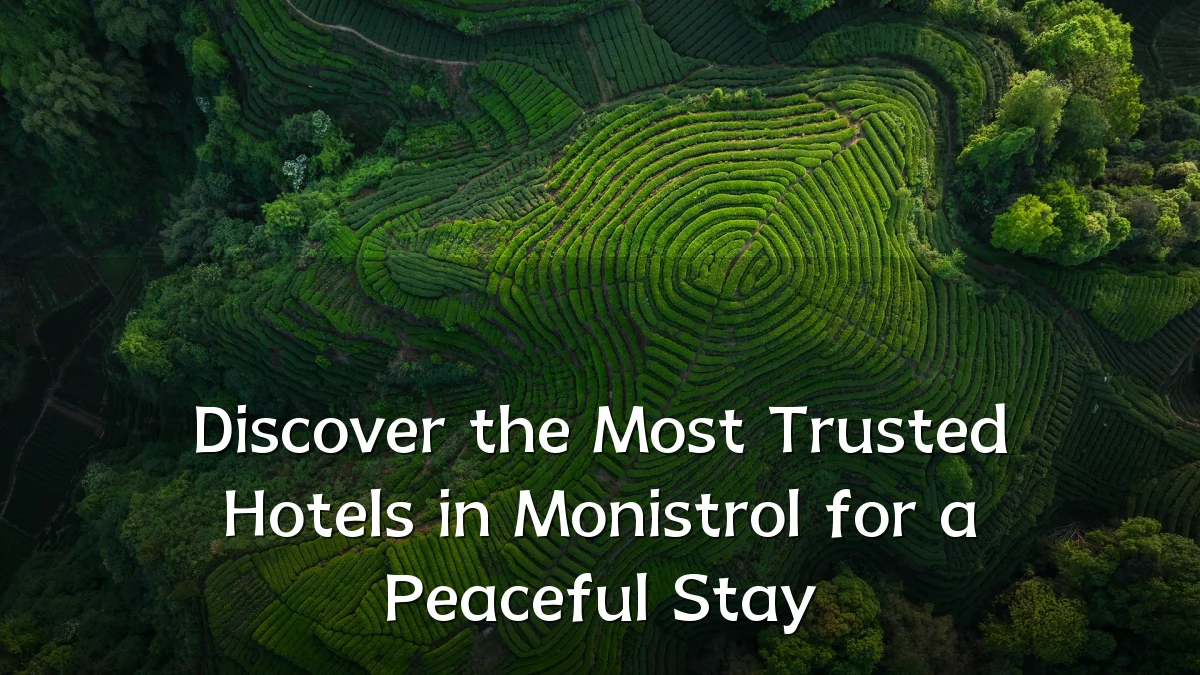 Discover the Most Trusted Hotels in Monistrol for a Peaceful Stay