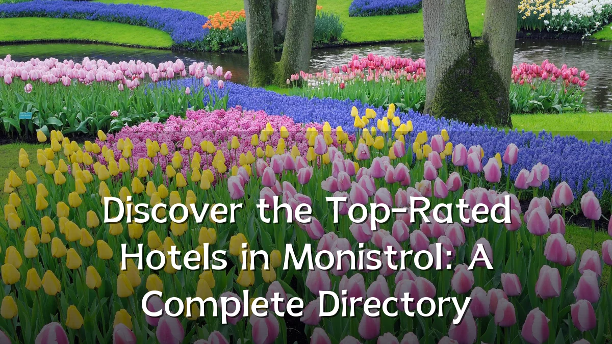 Discover the Top-Rated Hotels in Monistrol: A Complete Directory