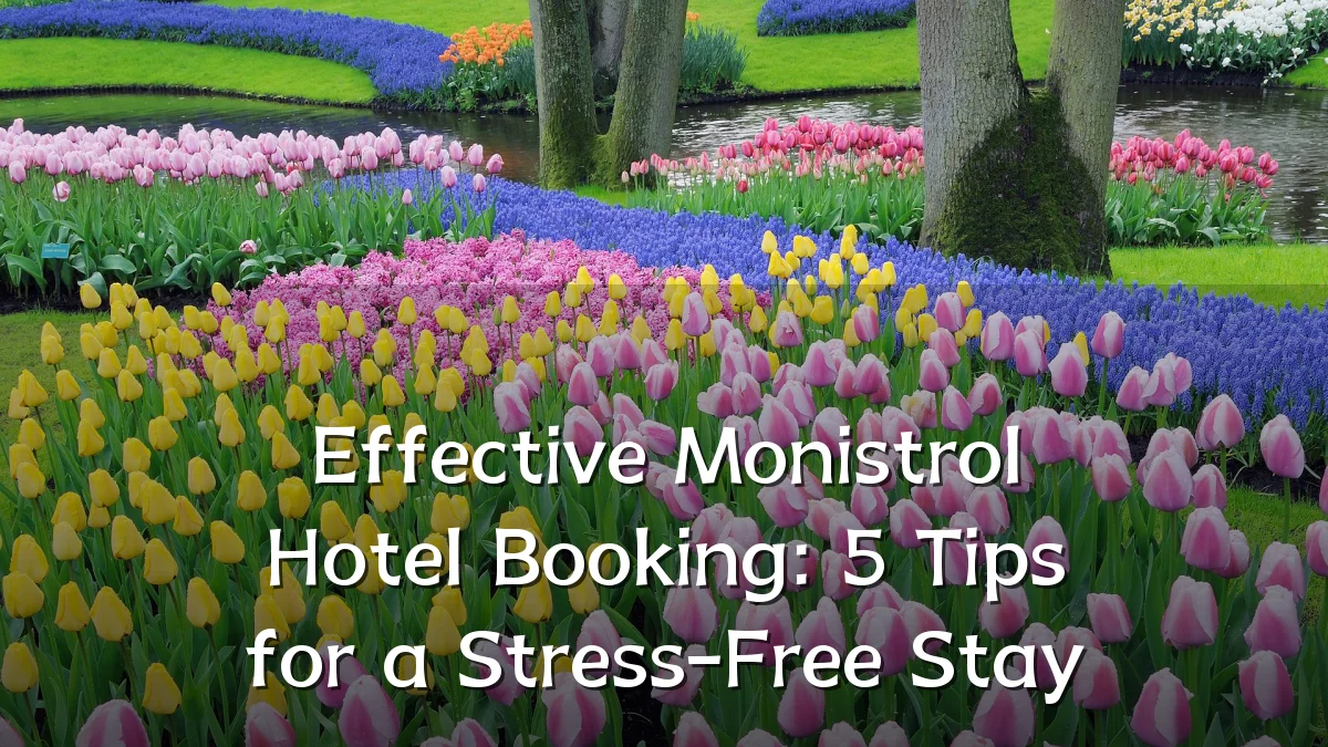 Effective Monistrol Hotel Booking: 5 Tips for a Stress-Free Stay