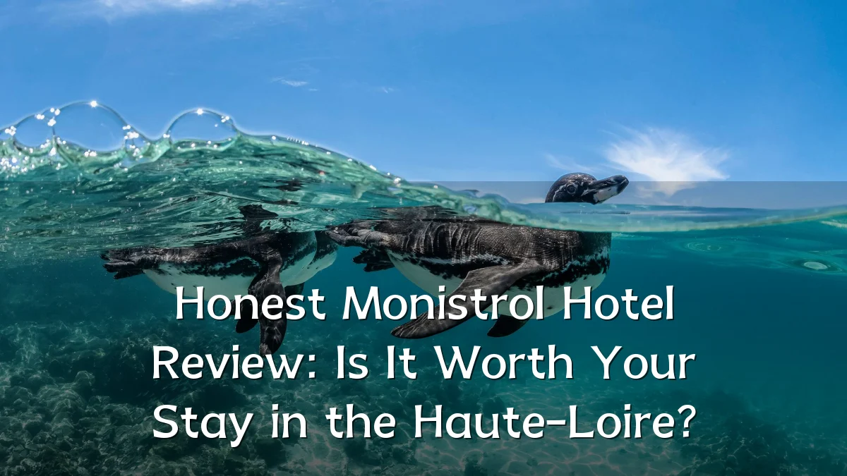 Honest Monistrol Hotel Review: Is It Worth Your Stay in the Haute-Loire?
