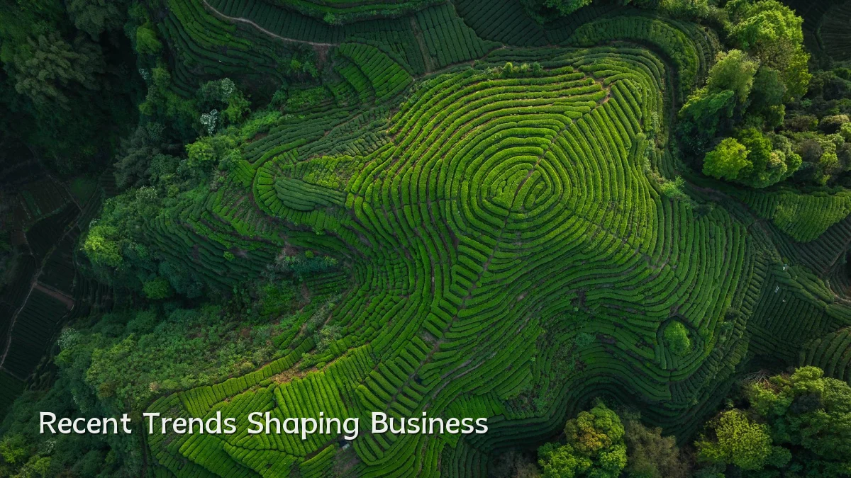 Recent Trends Shaping Business