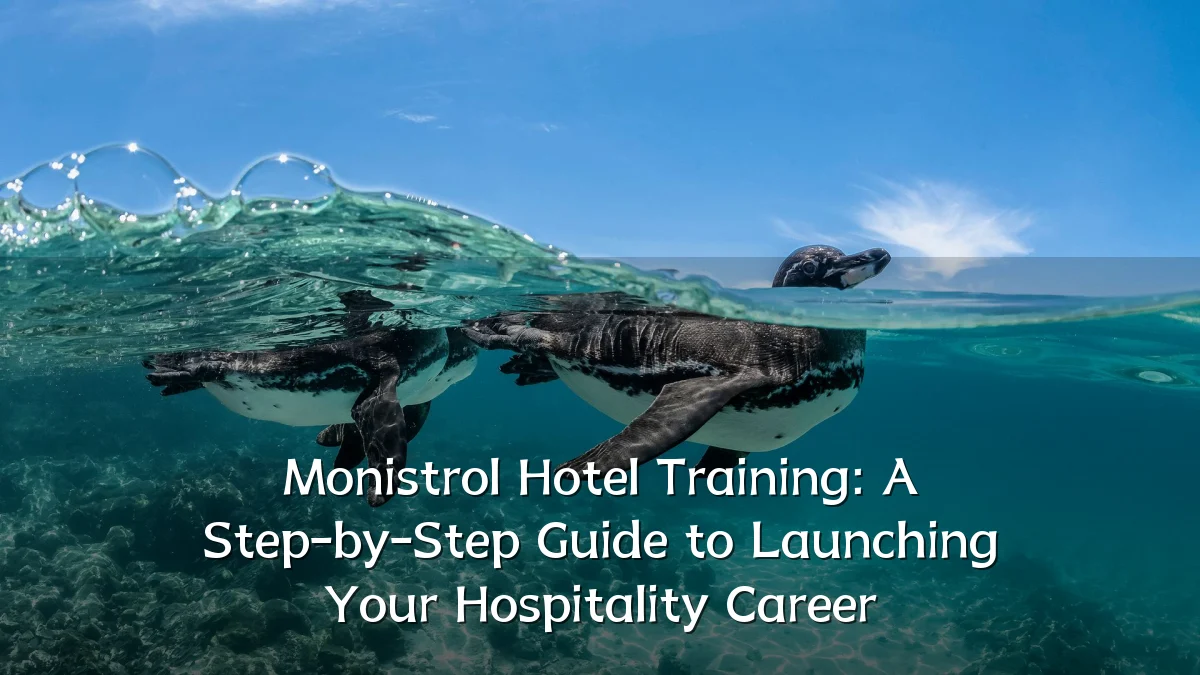 Monistrol Hotel Training: A Step-by-Step Guide to Launching Your Hospitality Career