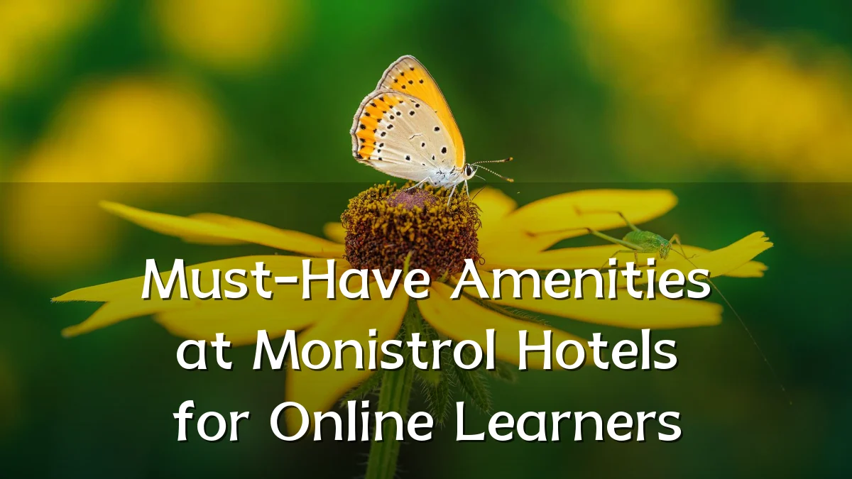 Must-Have Amenities at Monistrol Hotels for Online Learners