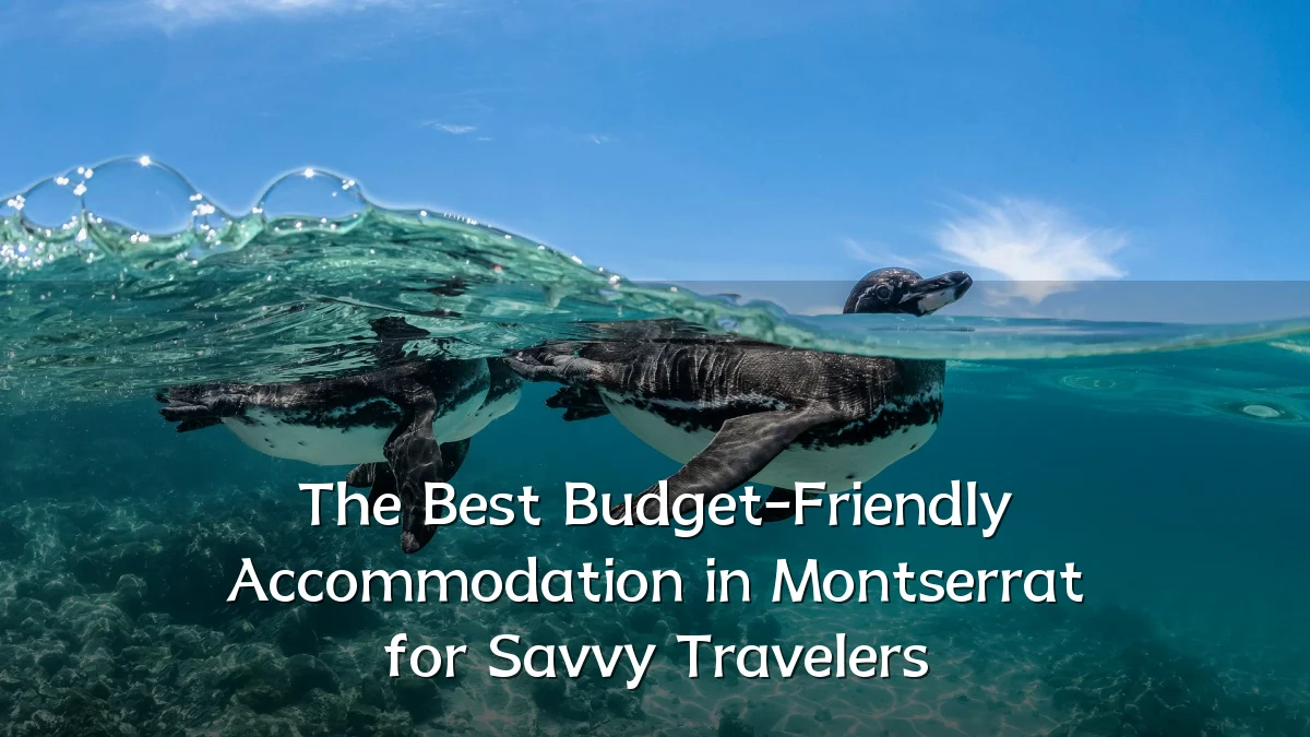 The Best Budget-Friendly Accommodation in Montserrat for Savvy Travelers