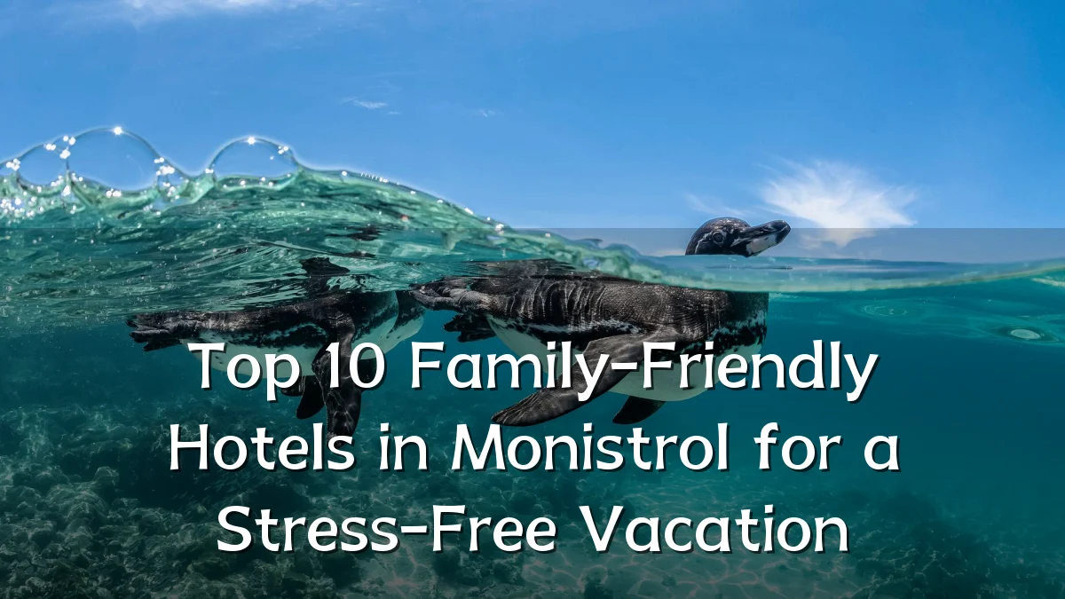 Top 10 Family-Friendly Hotels in Monistrol for a Stress-Free Vacation