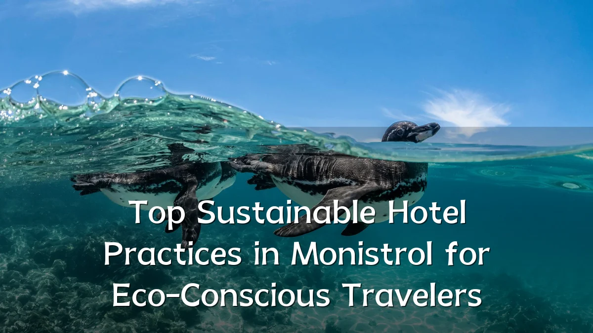 Top Sustainable Hotel Practices in Monistrol for Eco-Conscious Travelers