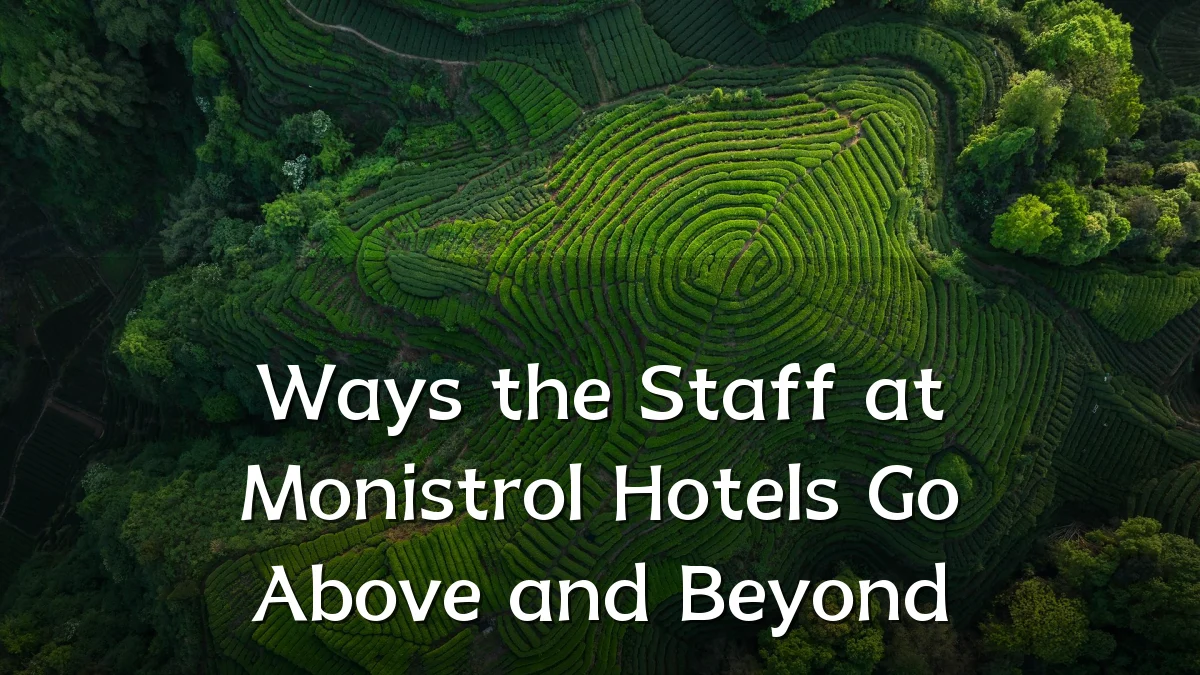 Ways the Staff at Monistrol Hotels Go Above and Beyond