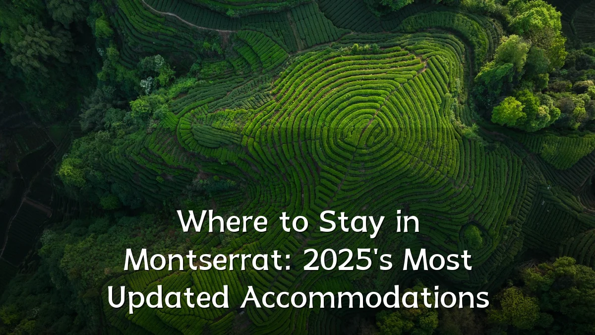 Where to Stay in Montserrat: 2025's Most Updated Accommodations