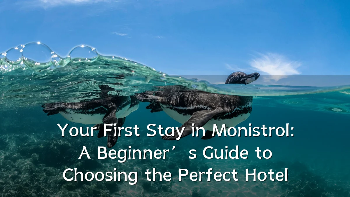 Your First Stay in Monistrol: A Beginner’s Guide to Choosing the Perfect Hotel