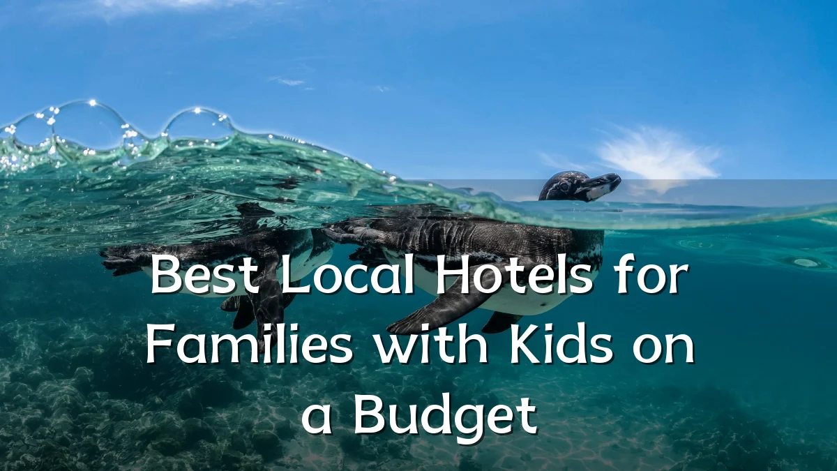 Best Local Hotels for Families with Kids on a Budget