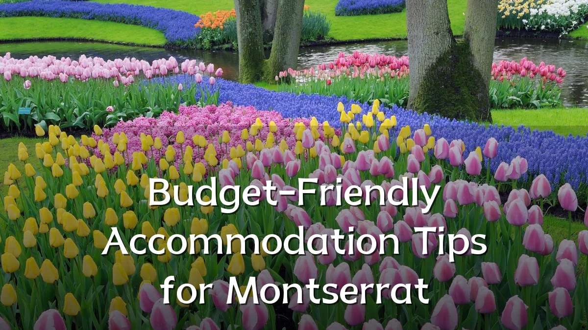 Budget-Friendly Accommodation Tips for Montserrat