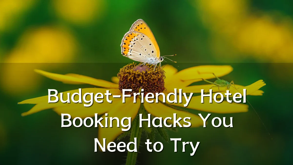 Budget-Friendly Hotel Booking Hacks You Need to Try