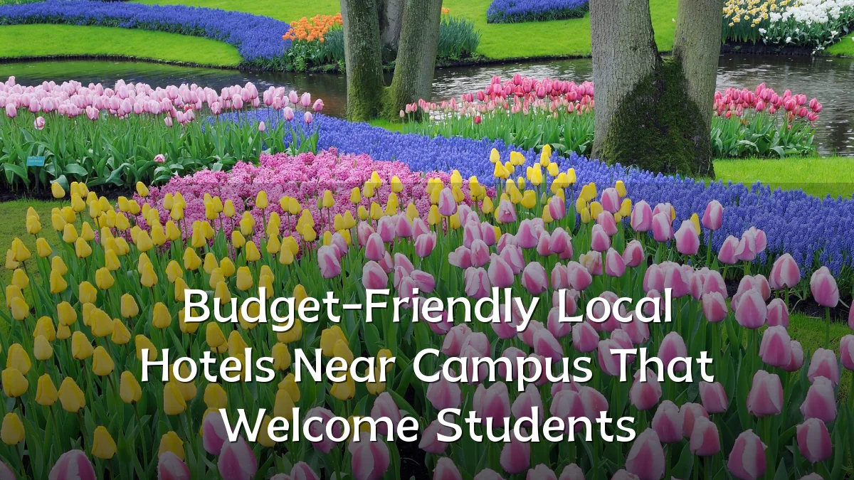 Budget-Friendly Local Hotels Near Campus That Welcome Students