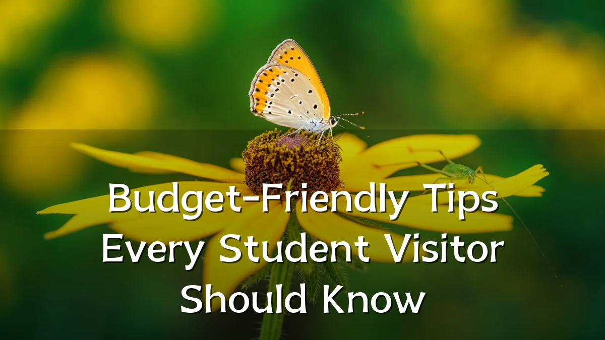 Budget-Friendly Tips Every Student Visitor Should Know