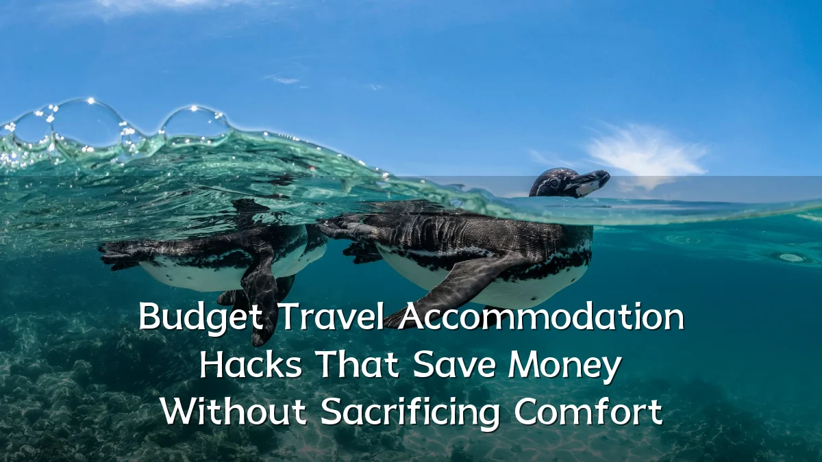 Budget Travel Accommodation Hacks That Save Money Without Sacrificing Comfort