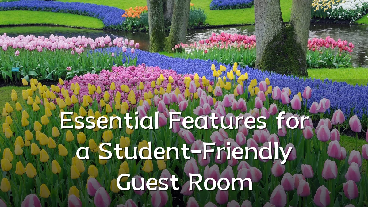 Essential Features for a Student-Friendly Guest Room