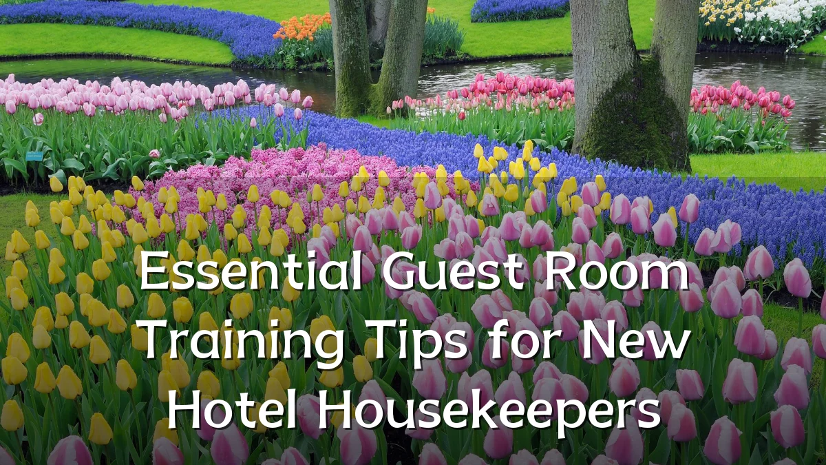 Essential Guest Room Training Tips for New Hotel Housekeepers