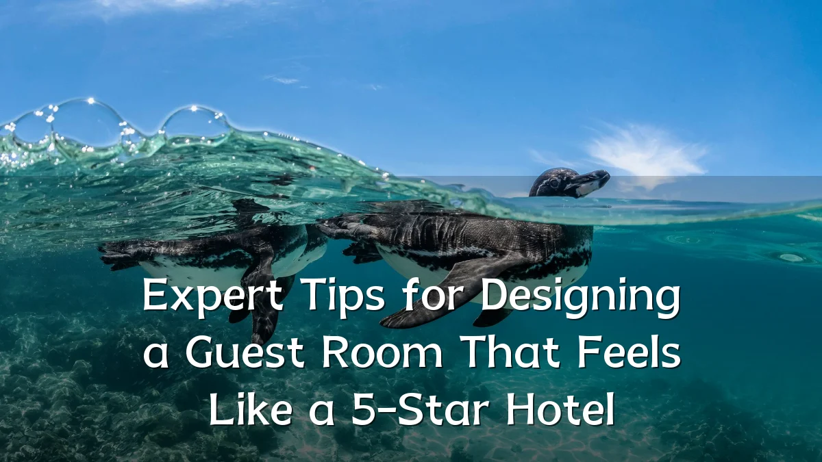 Expert Tips for Designing a Guest Room That Feels Like a 5-Star Hotel
