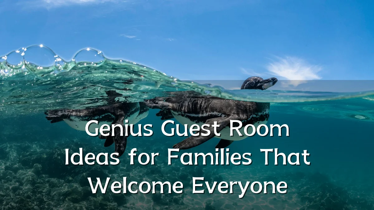 Genius Guest Room Ideas for Families That Welcome Everyone
