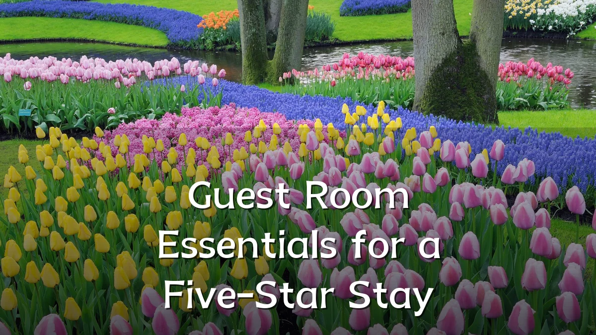 Guest Room Essentials for a Five-Star Stay