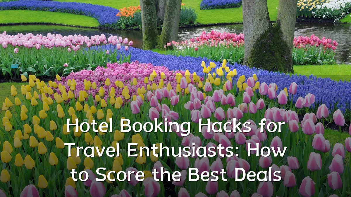 Hotel Booking Hacks for Travel Enthusiasts: How to Score the Best Deals