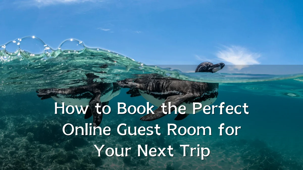 How to Book the Perfect Online Guest Room for Your Next Trip