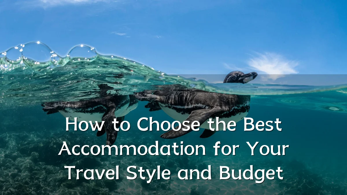 How to Choose the Best Accommodation for Your Travel Style and Budget