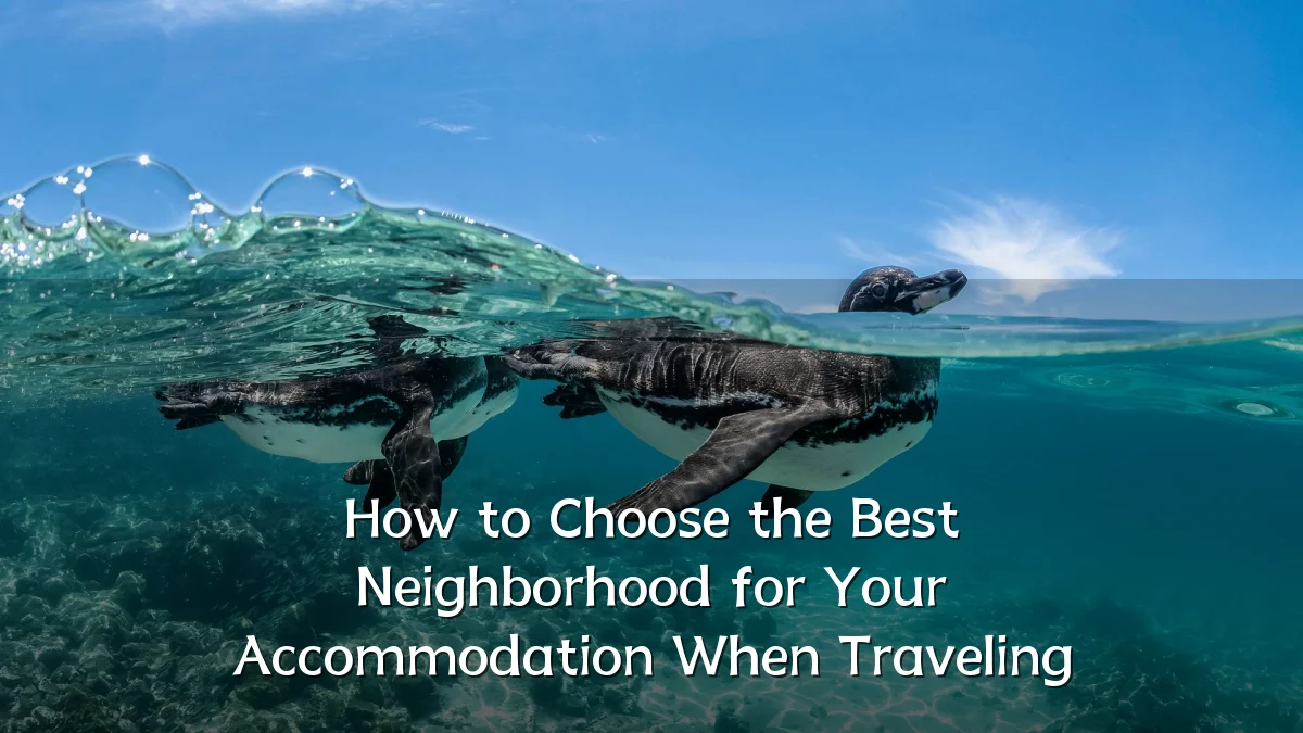How to Choose the Best Neighborhood for Your Accommodation When Traveling