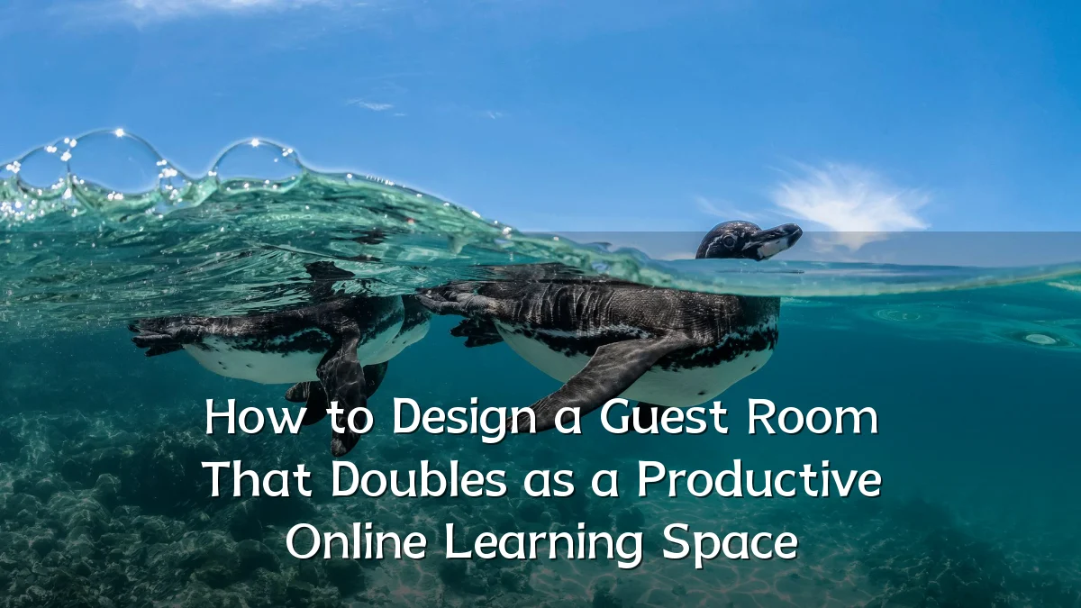 How to Design a Guest Room That Doubles as a Productive Online Learning Space
