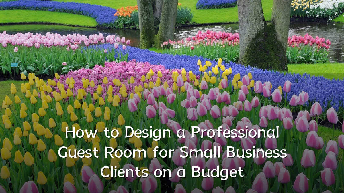 How to Design a Professional Guest Room for Small Business Clients on a Budget