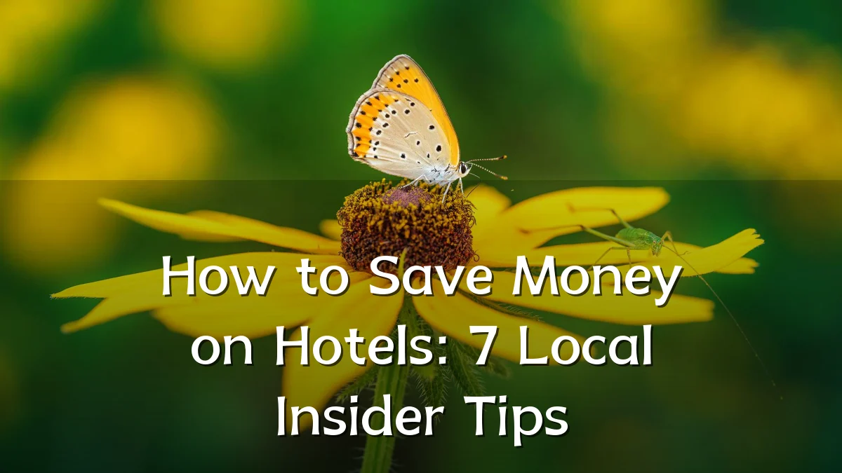 How to Save Money on Hotels: 7 Local Insider Tips