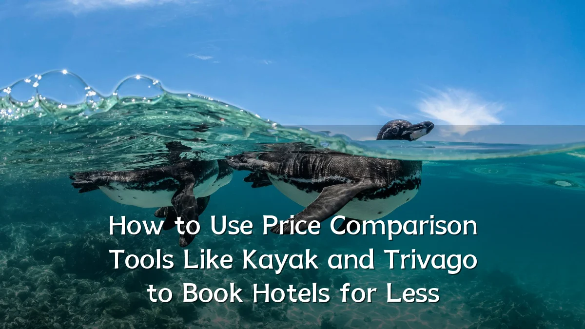 How to Use Price Comparison Tools Like Kayak and Trivago to Book Hotels for Less