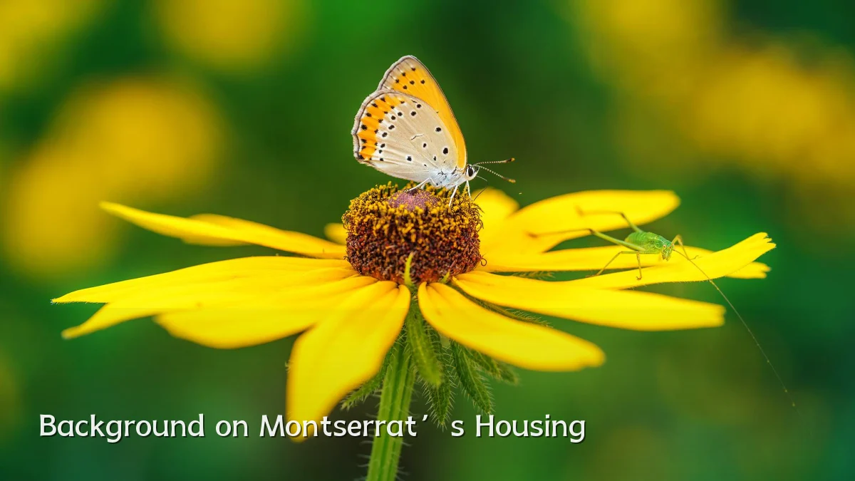 Background on Montserrat’s Housing