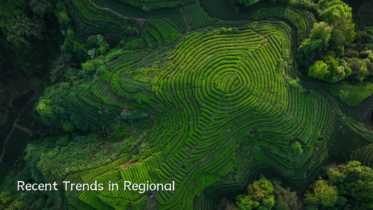 Recent Trends in Regional