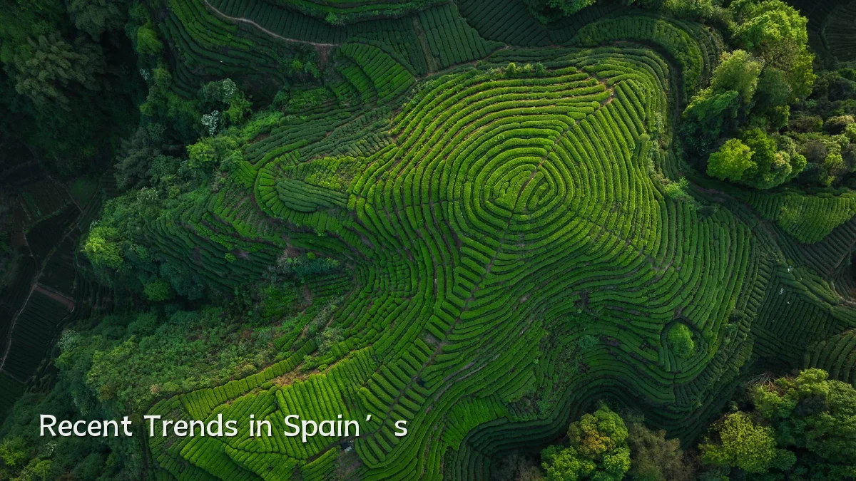 Recent Trends in Spain’s