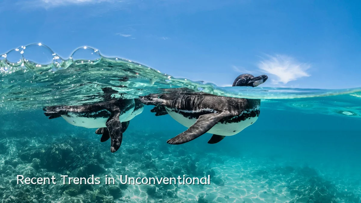 Recent Trends in Unconventional