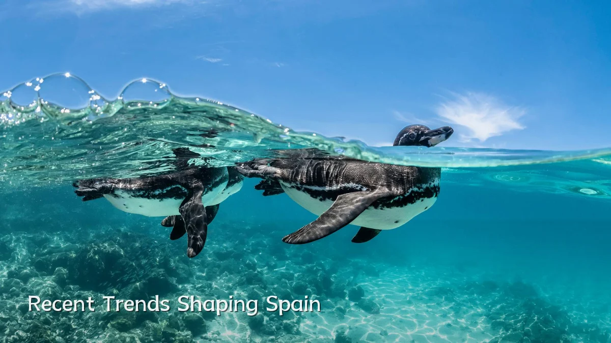 Recent Trends Shaping Spain