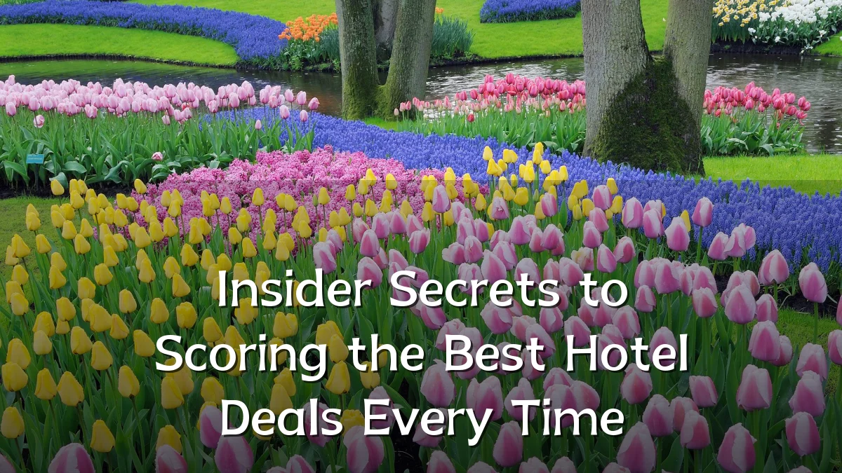 Insider Secrets to Scoring the Best Hotel Deals Every Time