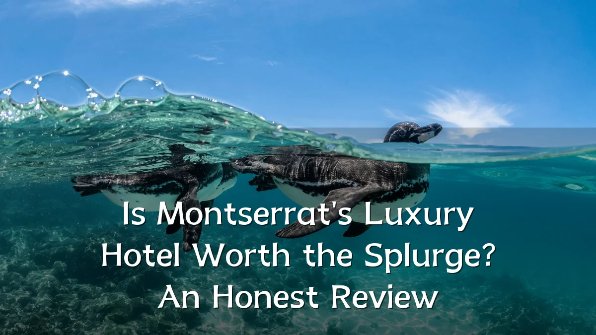 Is Montserrat's Luxury Hotel Worth the Splurge? An Honest Review
