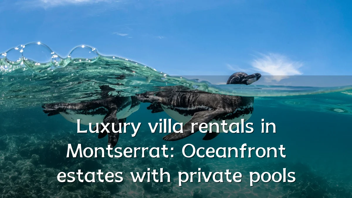 Luxury villa rentals in Montserrat: Oceanfront estates with private pools
