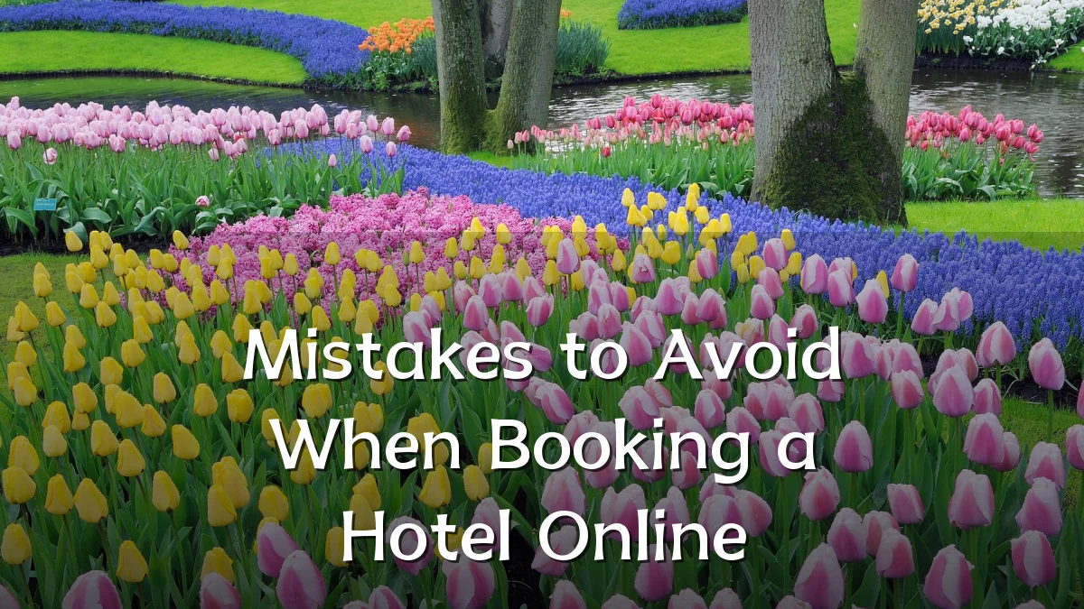 Mistakes to Avoid When Booking a Hotel Online