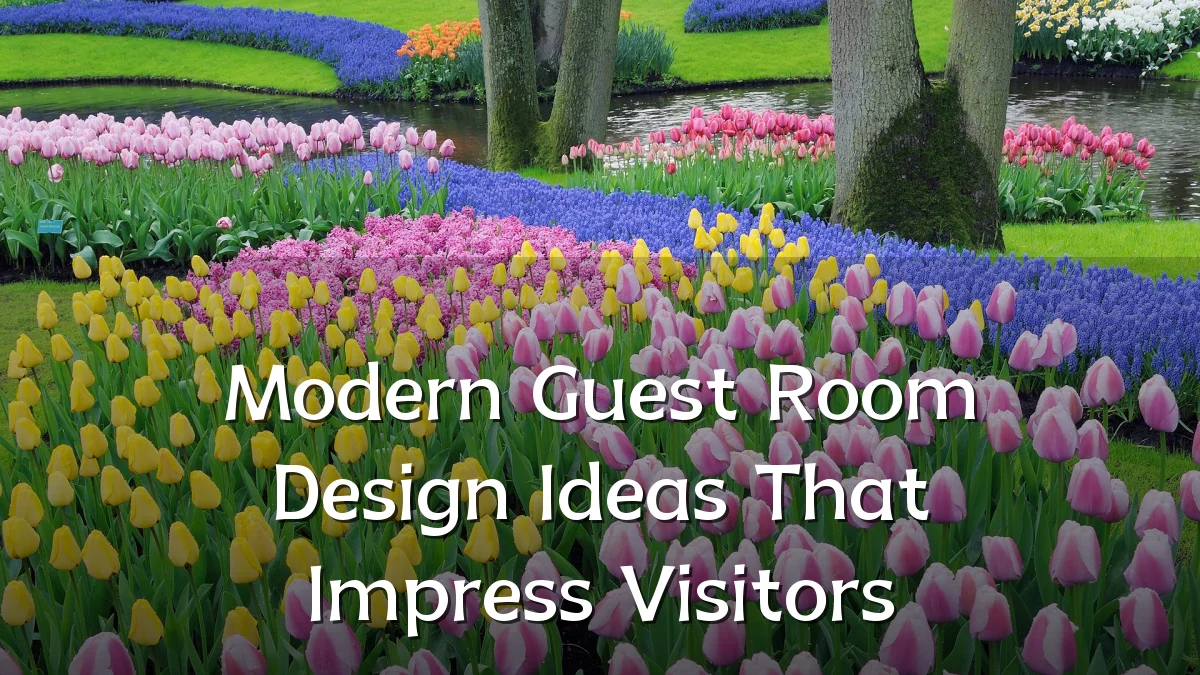 Modern Guest Room Design Ideas That Impress Visitors