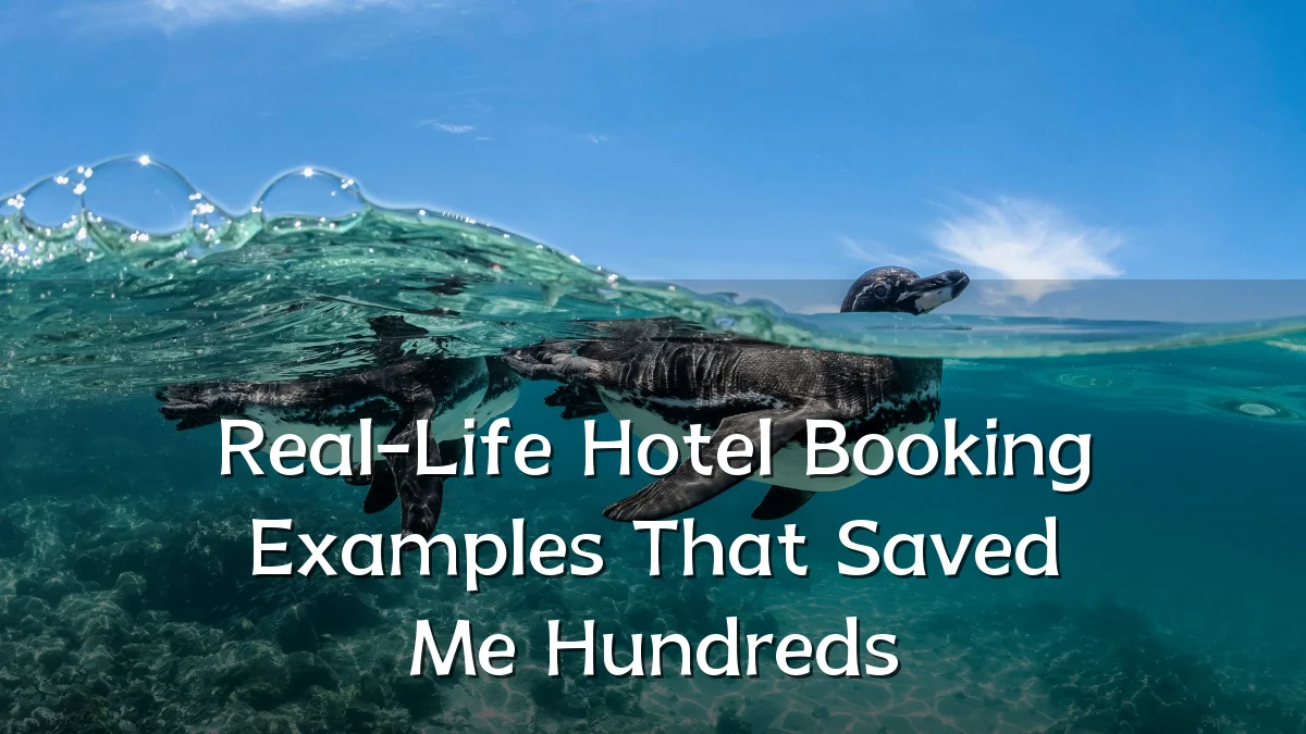 Real-Life Hotel Booking Examples That Saved Me Hundreds