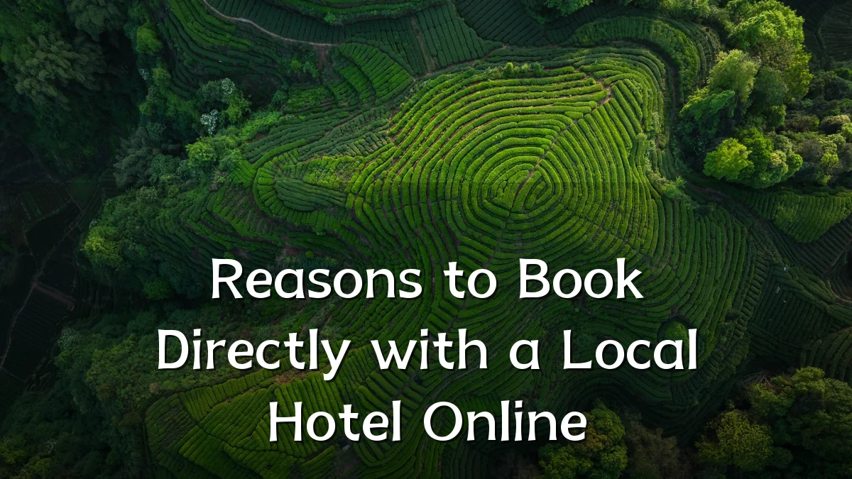 Reasons to Book Directly with a Local Hotel Online